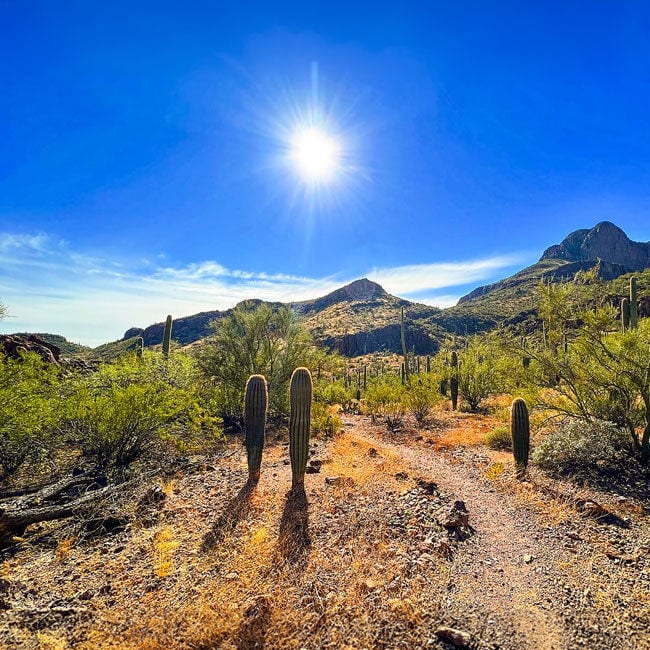 Image of Safford Peak in southern Arizona.